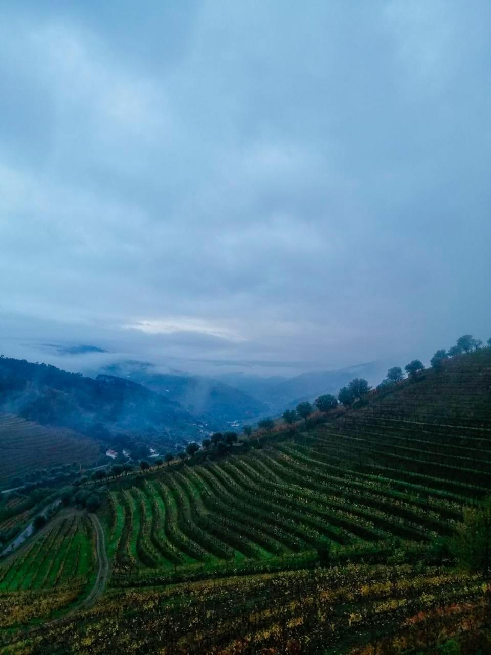 Quinta De Baixo Villa Vila Marim Buitenkant foto