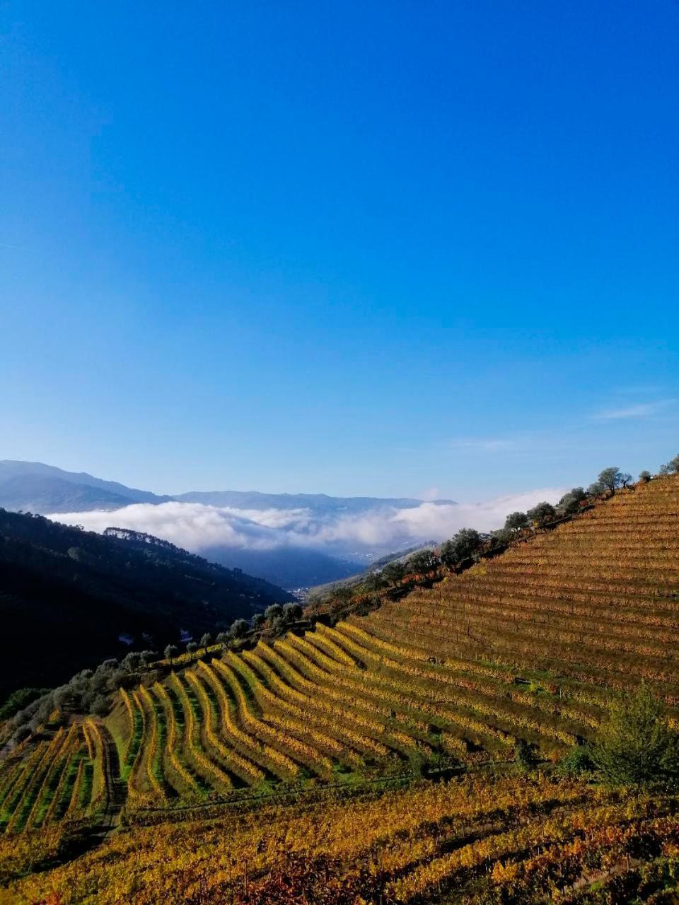 Quinta De Baixo Villa Vila Marim Buitenkant foto
