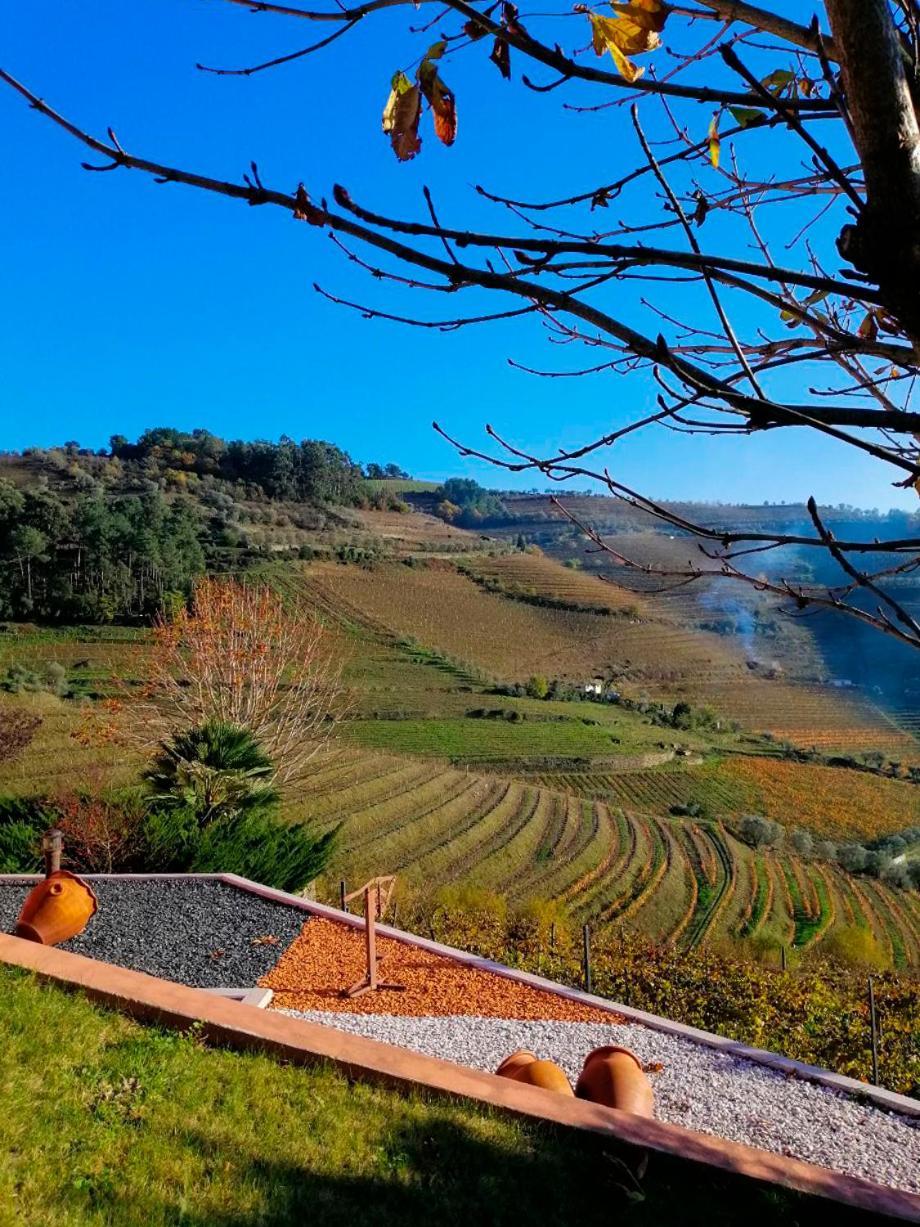 Quinta De Baixo Villa Vila Marim Buitenkant foto