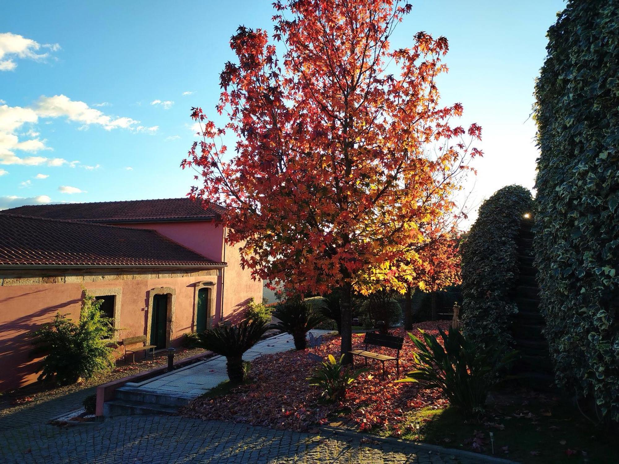 Quinta De Baixo Villa Vila Marim Buitenkant foto